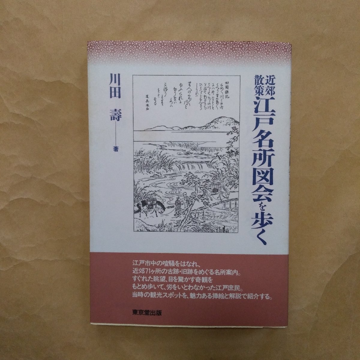 ◎近郊散策 江戸名所図会を歩く 川田壽 東京堂出版 定価3190円 平成9年初版の画像1