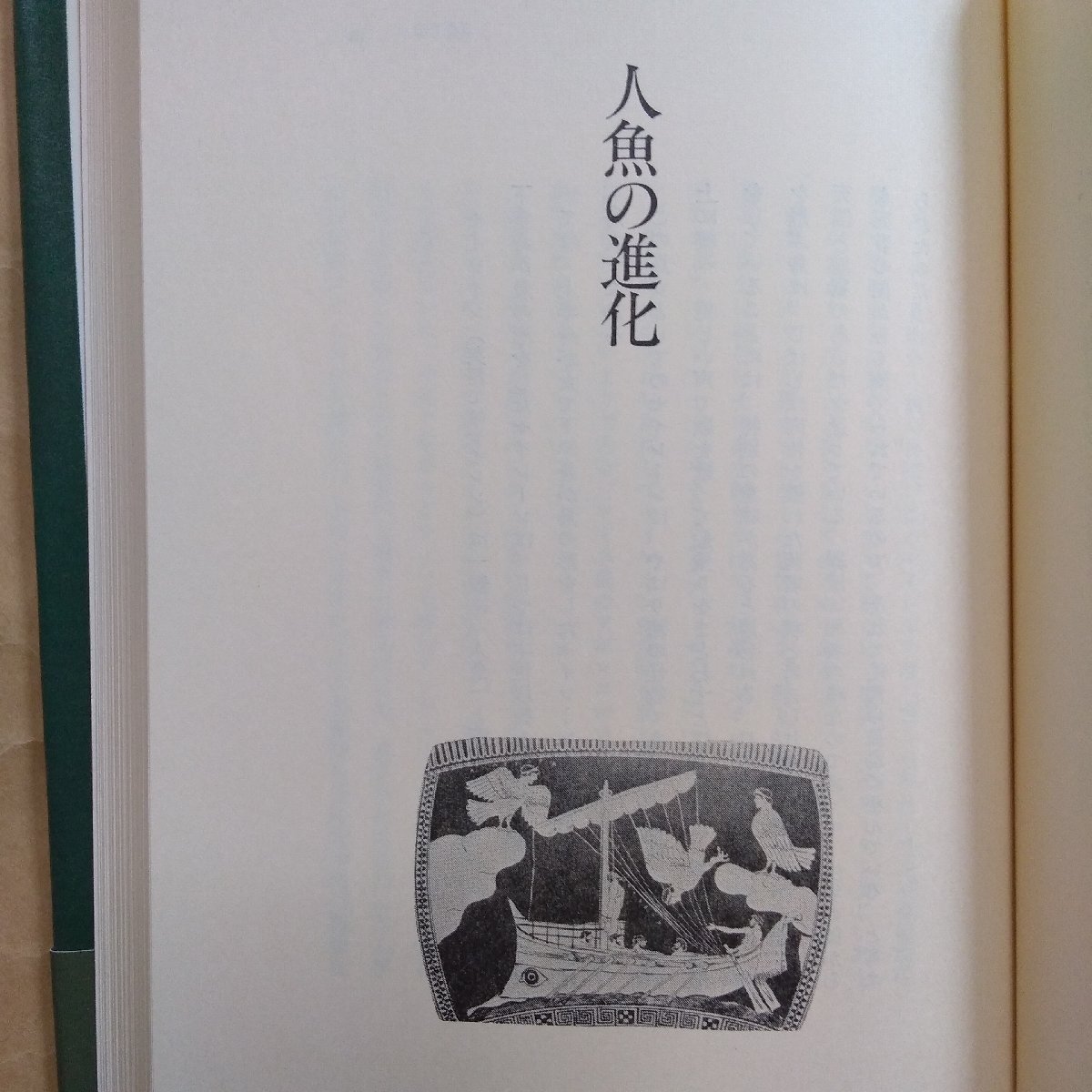 * illusion . museum Shibusawa Tatsuhiko Kadokawa Shoten Showa era 53 year the first version I mystery. country. animal ..