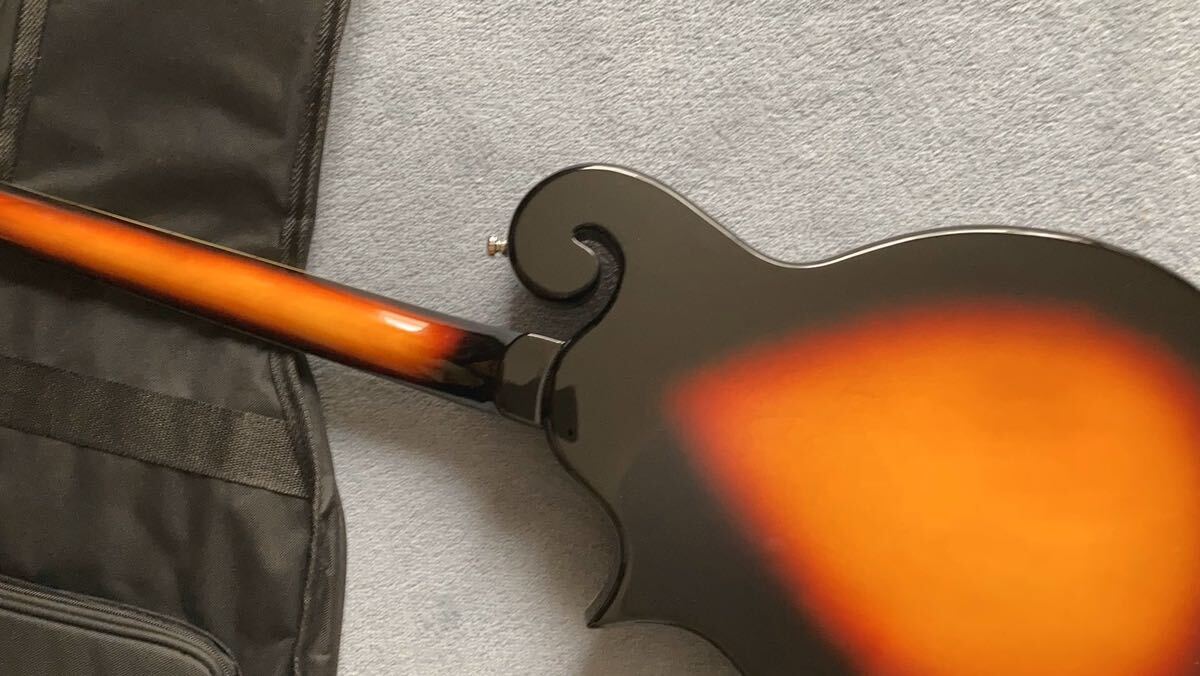 Tenor 珍品 テナーギターの画像3
