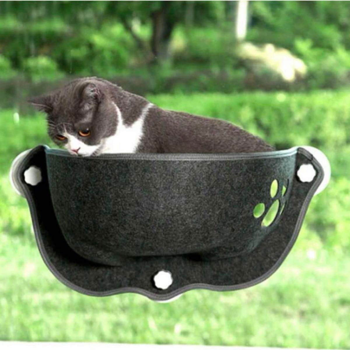 猫用　ウィンドウハンモック　ブラック　肉球窓付き　猫　猫グッズ