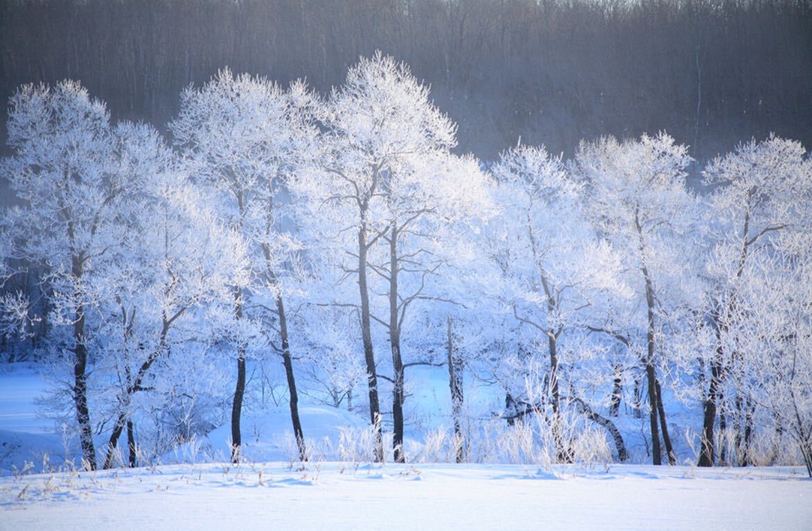 フリー画像 素材 雪景色 即決 1円 ⑲_画像1