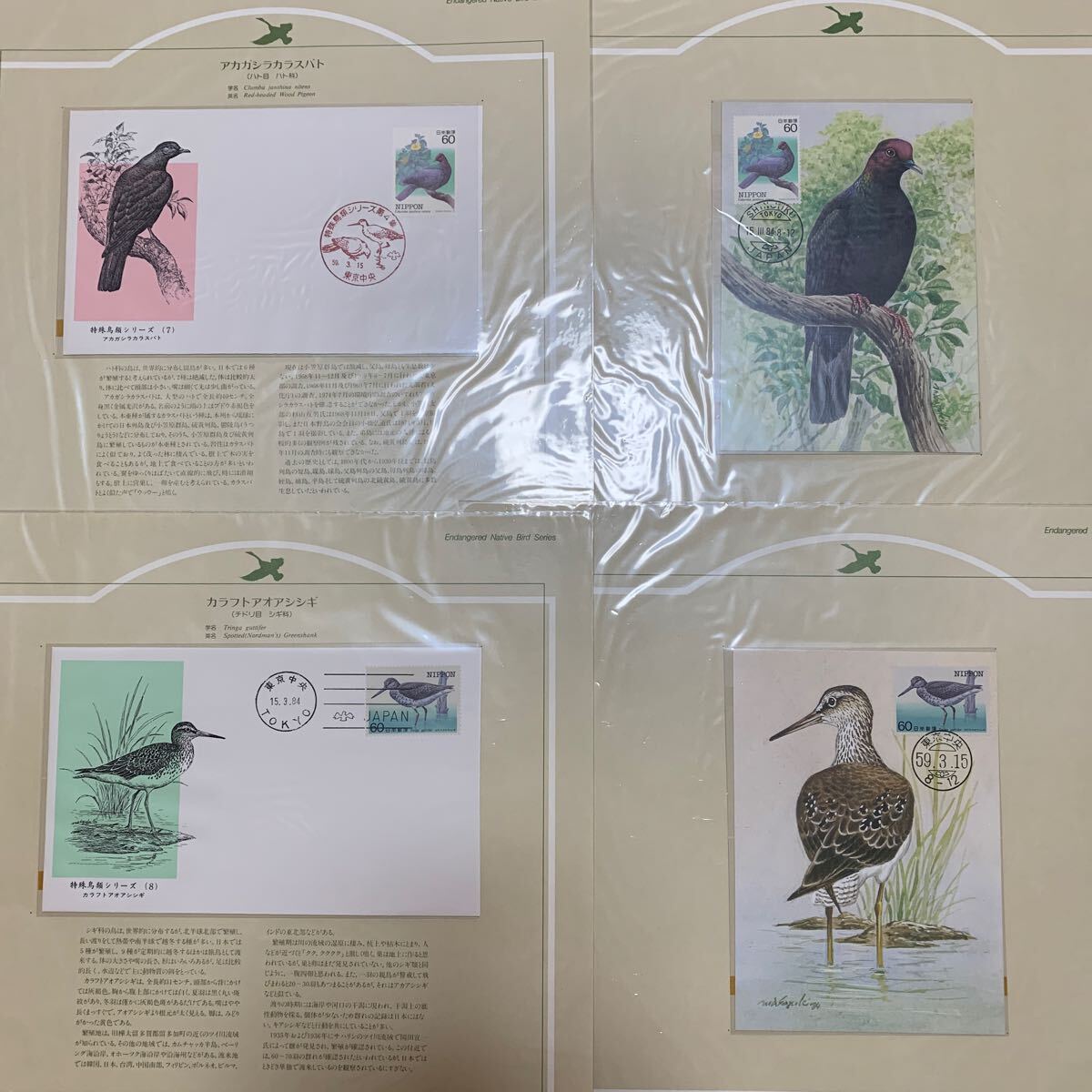 特殊鳥類シリーズ 初日カバー マキシマムカード コレクション 10種完 アルバム付き ゆうパック80サイズの画像5
