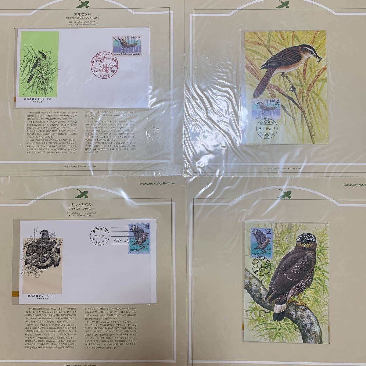 特殊鳥類シリーズ 初日カバー マキシマムカード コレクション 10種完 アルバム付き ゆうパック80サイズの画像4