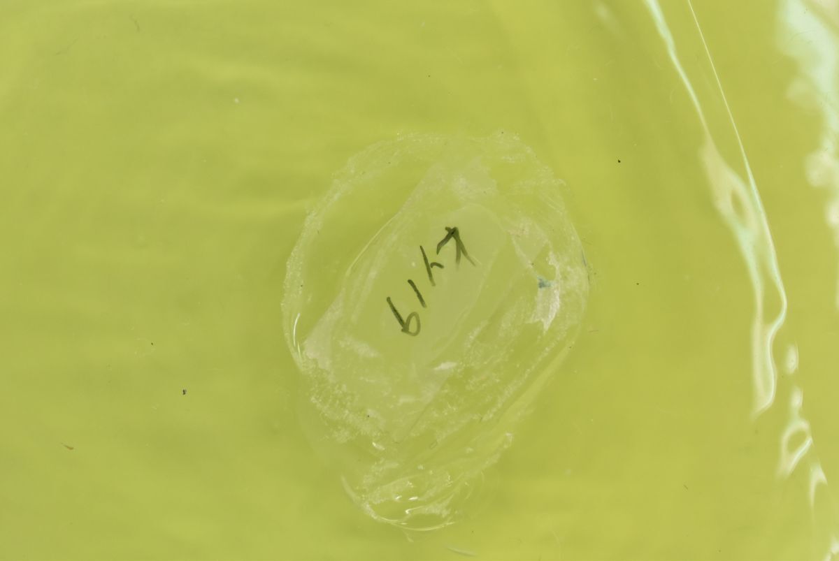 (778M 0419M18) 1円～ 置物 2点セット 卵型 オブジェ 黄色 インテリアの画像8