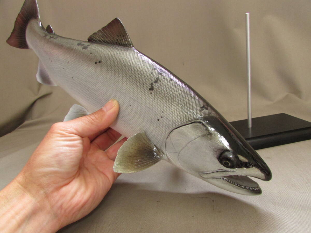 ●ハンドメイド　 自作　３９cmサクラマス　桜鱒　フィギュア　レプリカ　模型　渓流魚　 即決　魚釣り　fish craft REAL