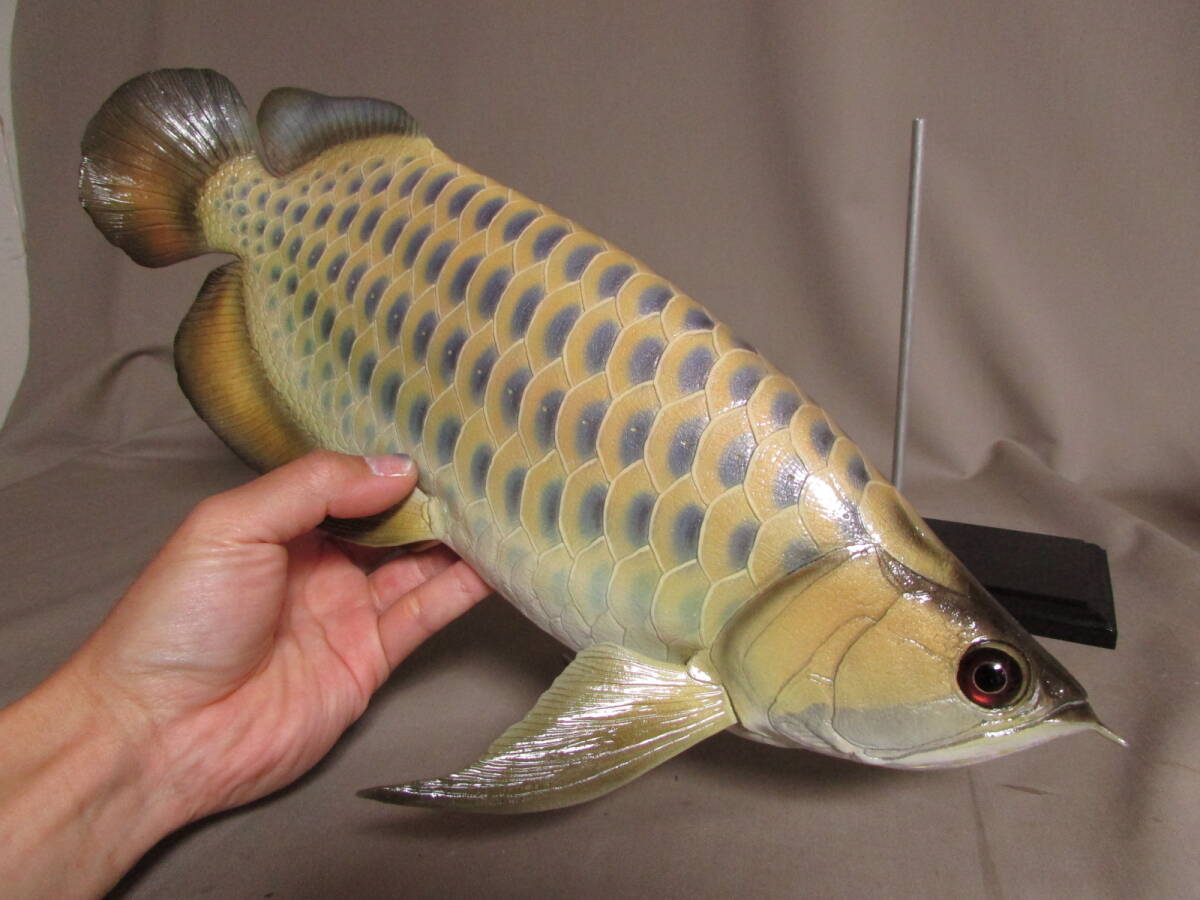 ●ハンドメイド　４０ｃｍアロワナ　イエロー　魚模型　古代魚　熱帯魚　フィギュア　レプリカ　fish craft REAL_画像1