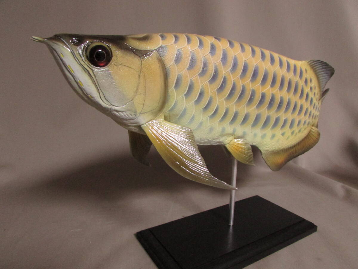 ●ハンドメイド　４０ｃｍアロワナ　イエロー　魚模型　古代魚　熱帯魚　フィギュア　レプリカ　fish craft REAL_画像4