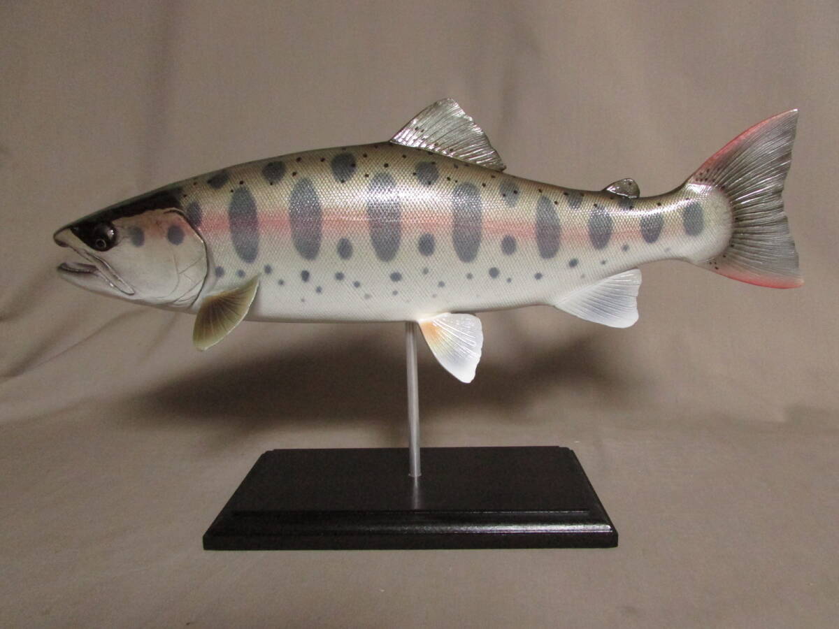 ●ハンドメイド  自作 ３９cmヤマメ フィギュア レプリカ 模型 渓流魚  即決 fish craft REALの画像3