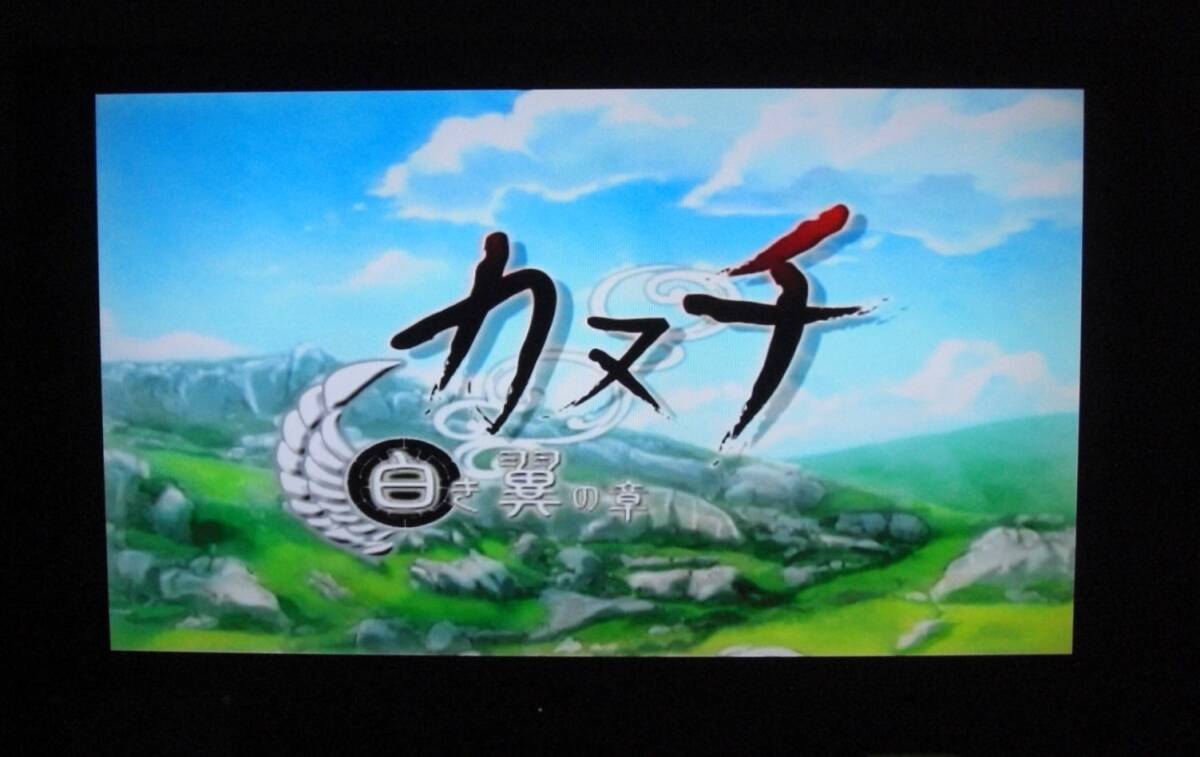 【即決・送料無料】カヌチ 白き翼の章 カヌチ しろきつばさのしょう ＰＳ２ 【動作品】