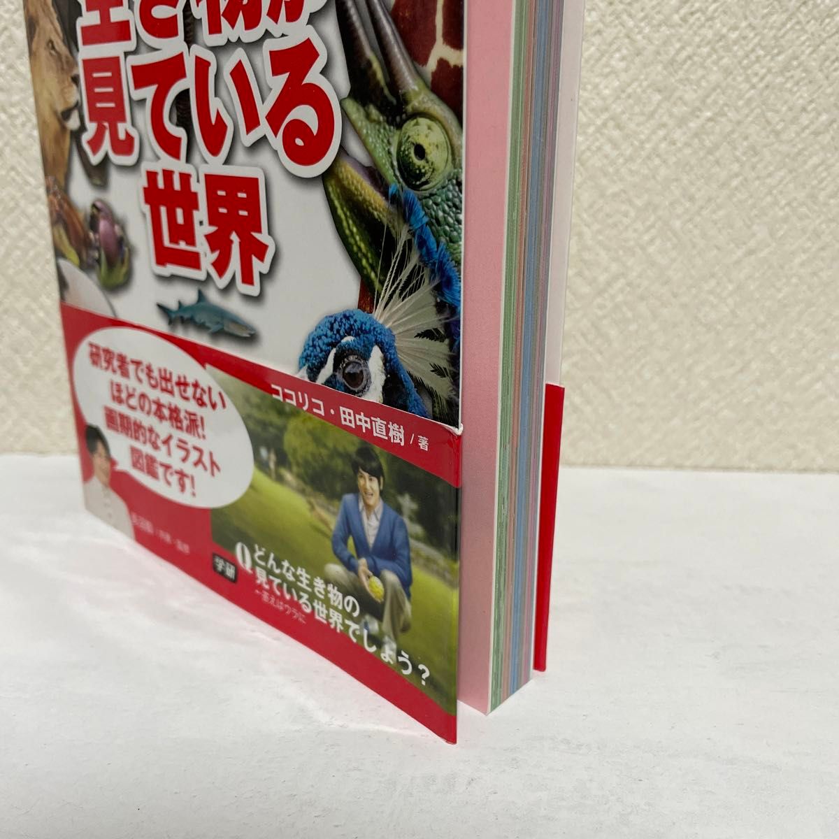 図解生き物が見ている世界　ココリコ田中×長沼毅ｐｒｅｓｅｎｔｓ 