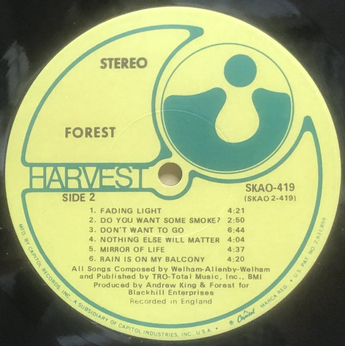UKフォーク名作 USオリジナル盤 Forest / sameの画像4