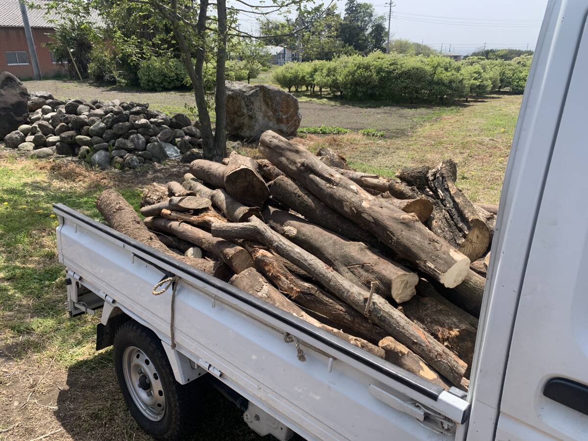 ③ 【群馬前橋発】丸棒薪 紅葉樹ミックス 軽トラック１台分 30km迄配送可の画像6