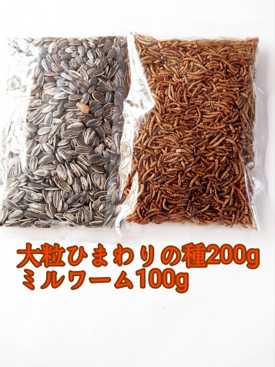 大粒ひまわりの種200g ミルワーム100g 小動物 ハムスター ハリネズミ