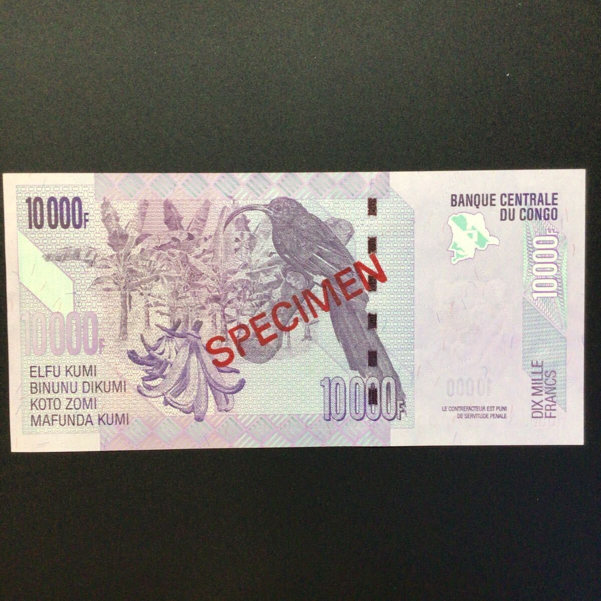 World Paper Money CONGO DEMOCRATIC REPUBLIC 10000 Francs【2013】〔SPECIMEN〕の画像2