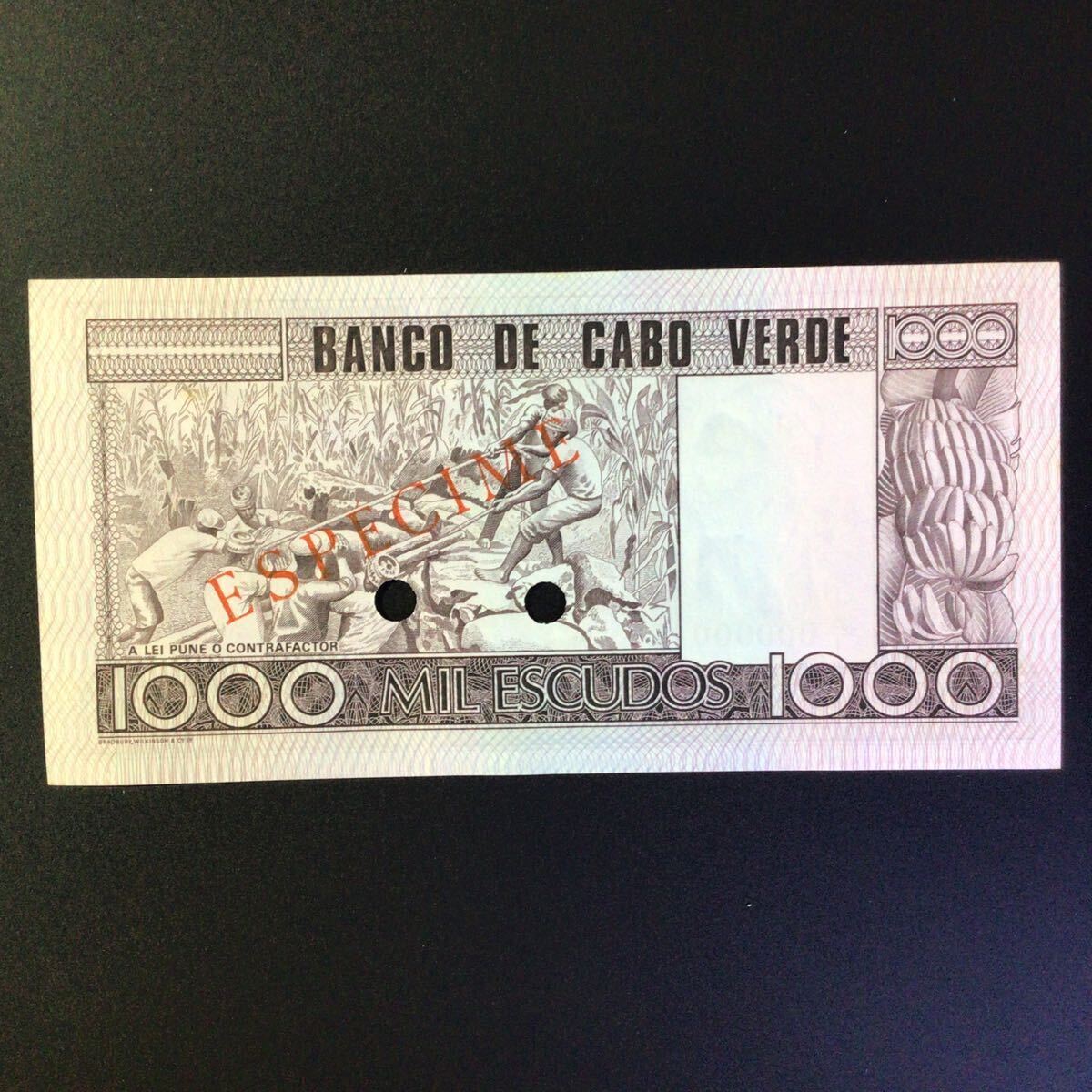 World Paper Money CAPE VERDE 1000 Escudos【1977】〔ESPECIME〕の画像2