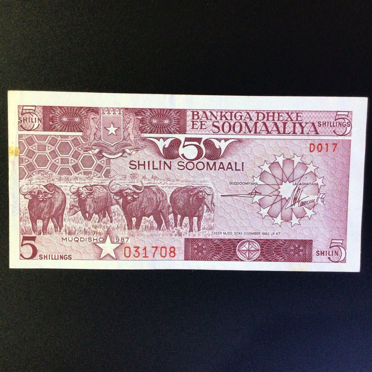 World Paper Money SOMALIA 5 Shilin = 5 Shillings【1987】の画像1