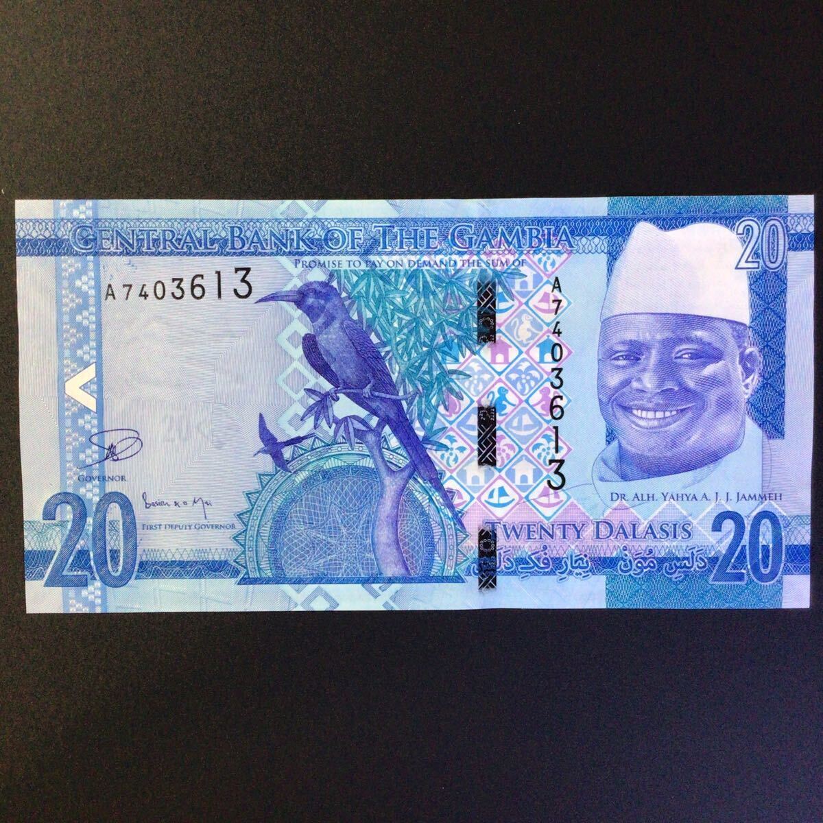 World Paper Money GAMBIA 20 Dalasis【2015】の画像1