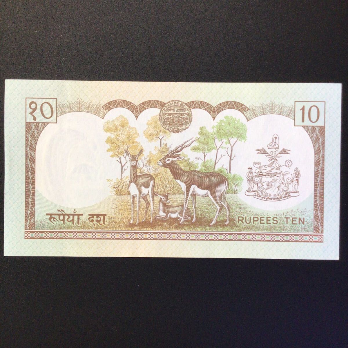 World Paper Money NEPAL 10 Rupees【1985-87】〔King Birendra Bir Bikram〕._画像2