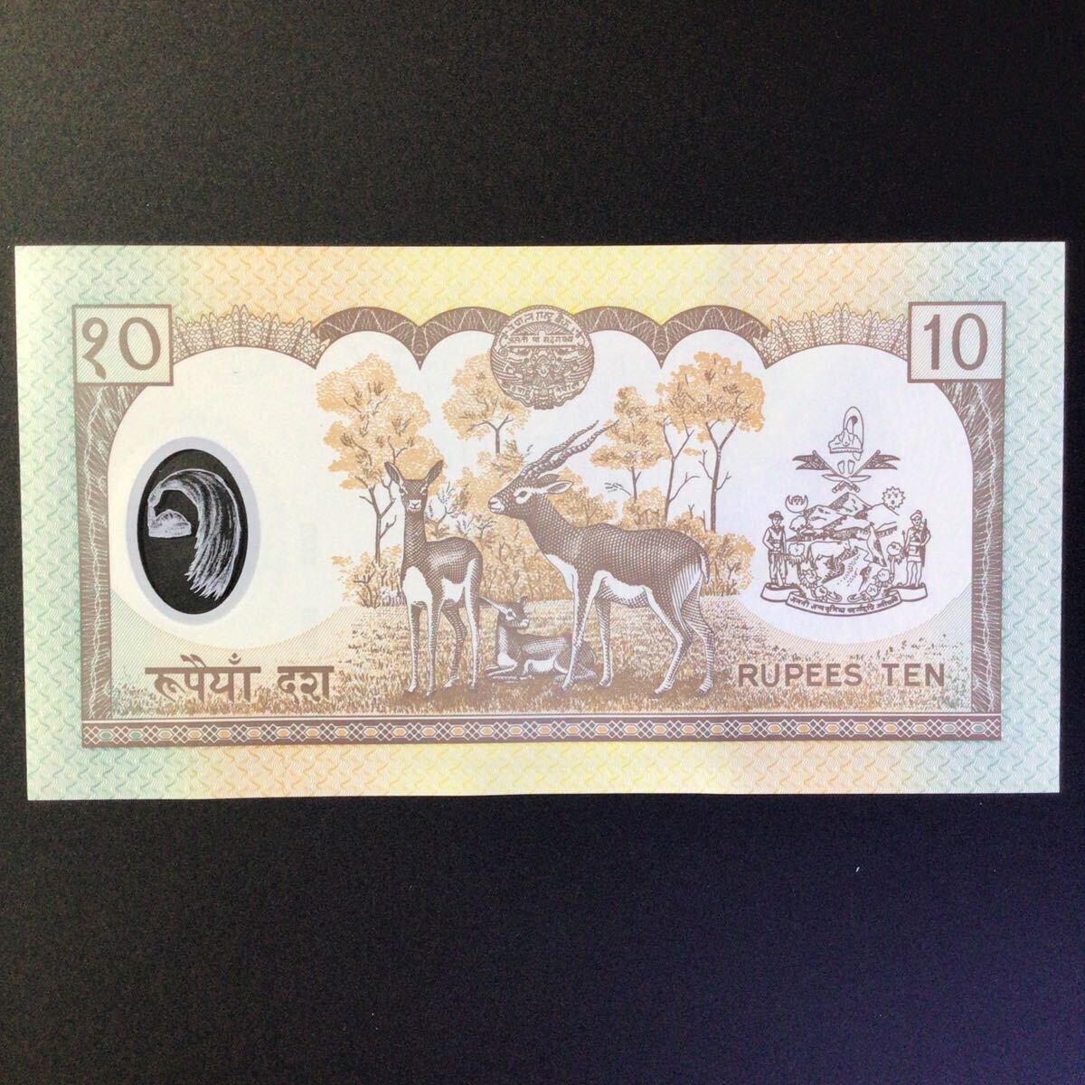 World Paper Money NEPAL 10 Rupees【2002】〔King Gyanendra Bir Bikram〕_画像2