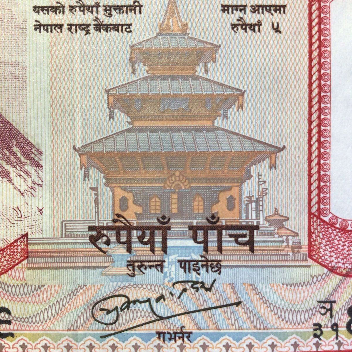 World Paper Money NEPAL 5 Rupees【2008】〔Mt.Everest〕の画像3