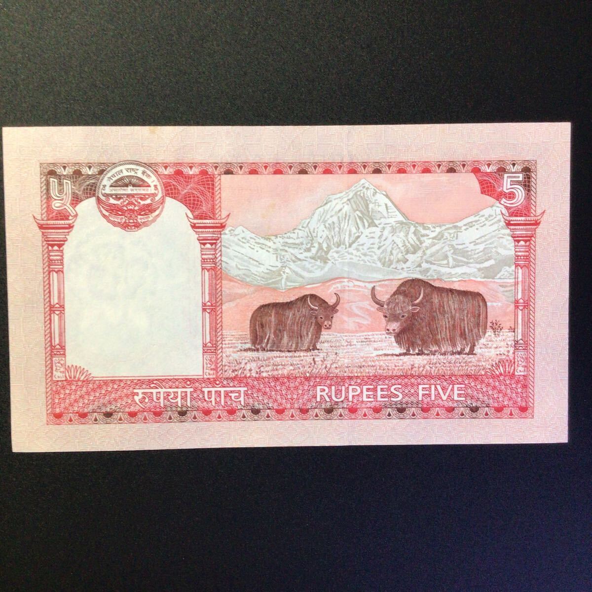 World Paper Money NEPAL 5 Rupees【2008】〔Mt.Everest〕の画像2