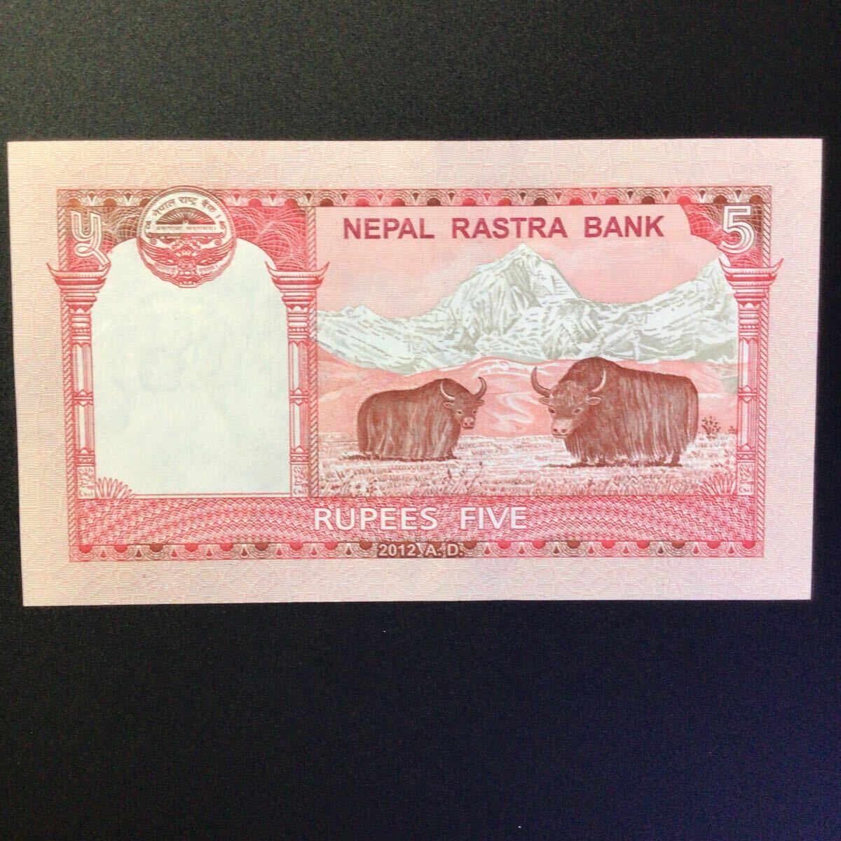 World Paper Money NEPAL 5 Rupees【2012】〔Mt.Everest〕の画像2