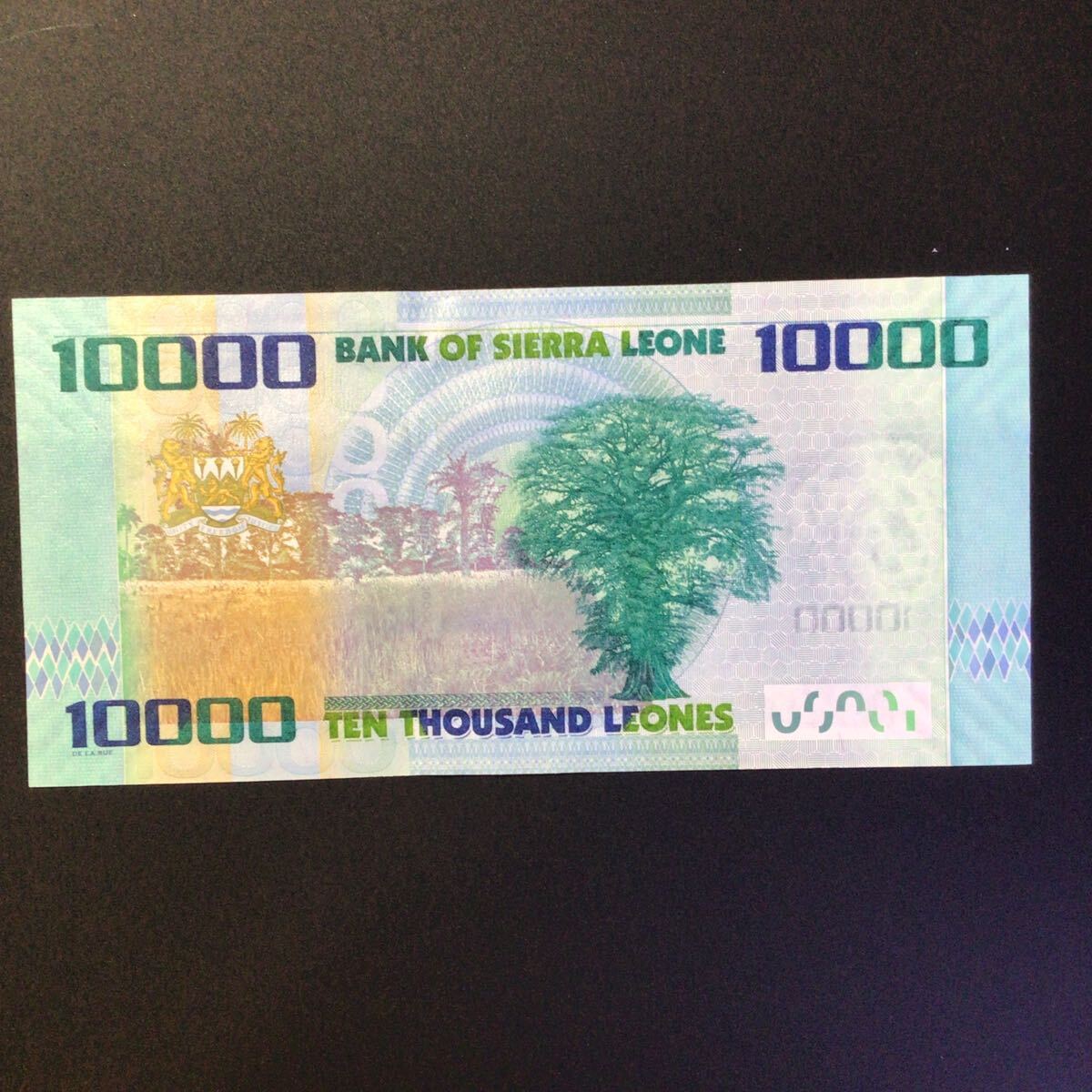 World Paper Money SIERRA LEONE 10000 Leones【2010】の画像2