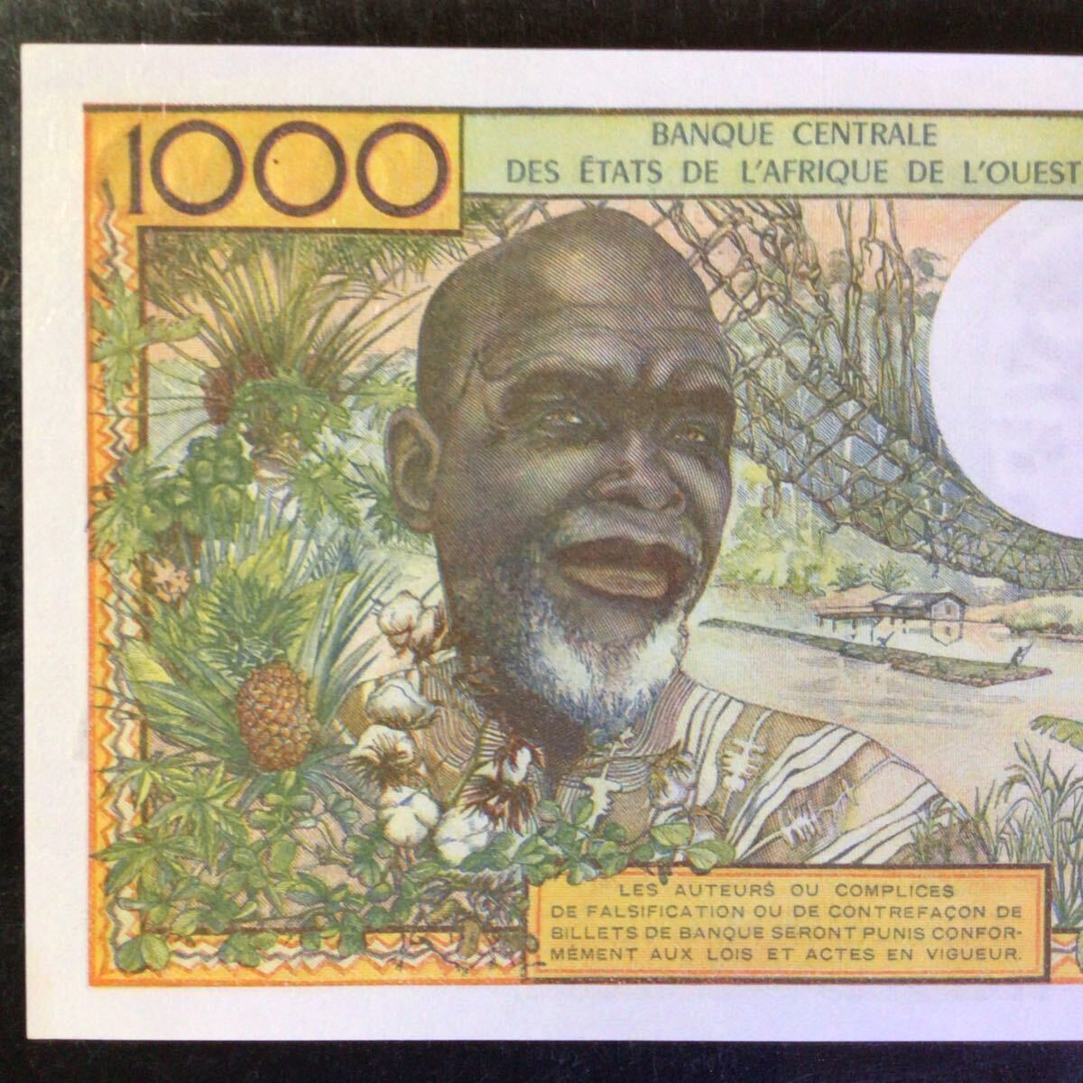 World Banknote Grading WEST AFRICAN STATES〔IVORY COAST〕1000 Francs【1959-65】『PMG Grading Choice Uncirculated 64』_画像6