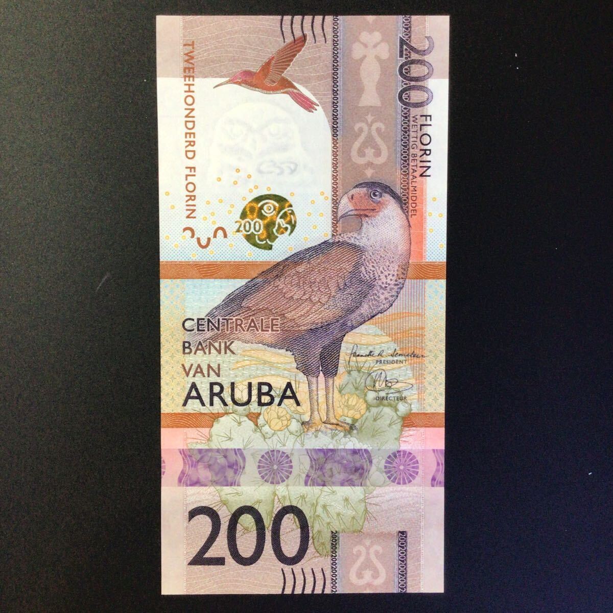 World Paper Money ARUBA 200 Florin【2019】の画像1