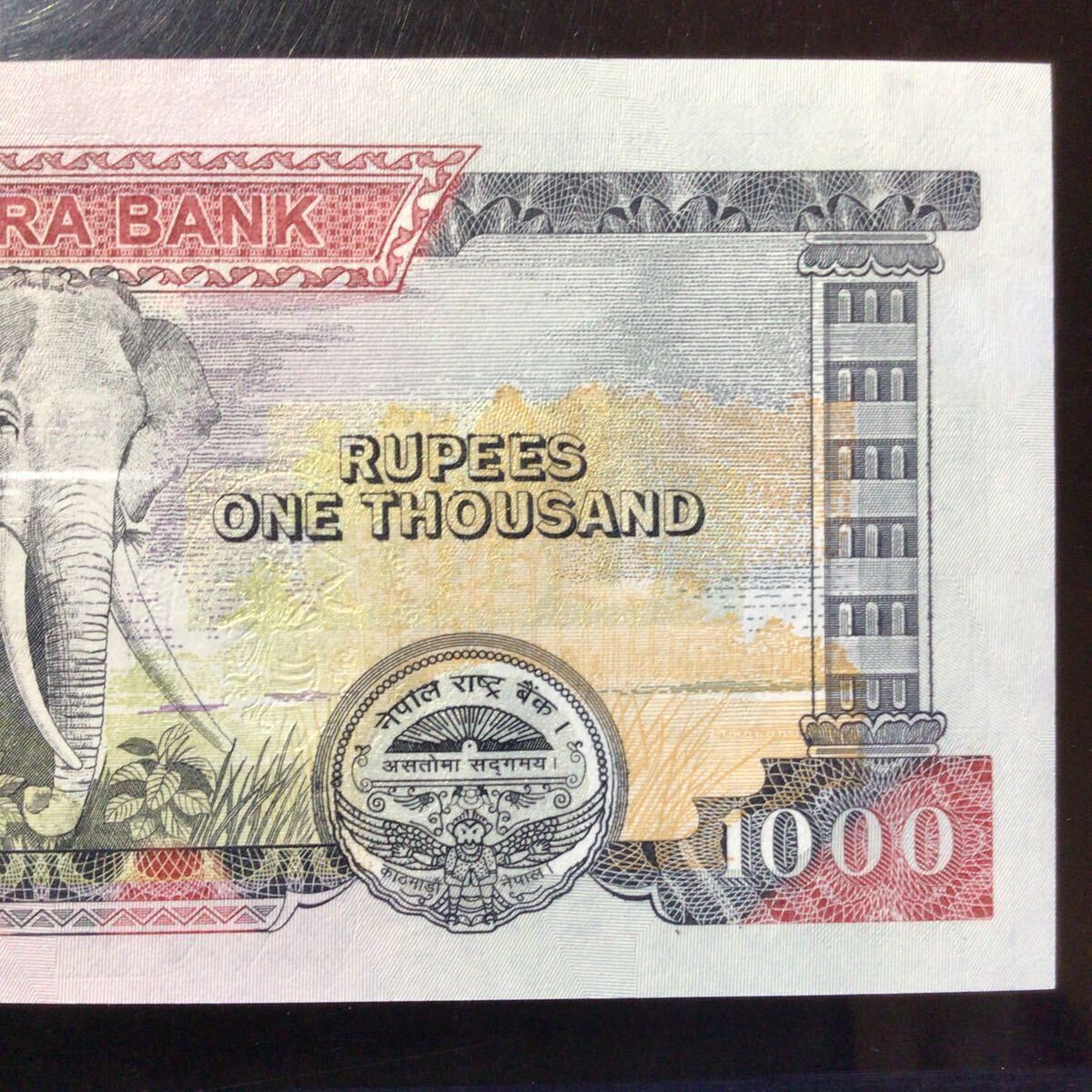 World Banknote Grading NEPAL《Rastra Bank》1000 Rupees【2010】『PMG Grading Choice Uncirculated 64 EPQ』_画像7