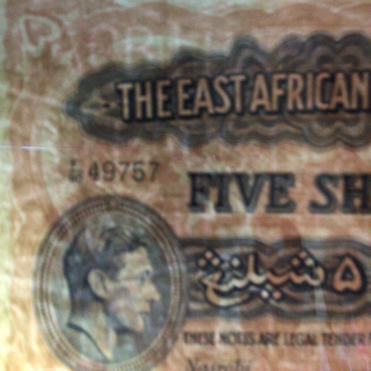World Banknote Grading EAST AFRICA《Currency Board》5 Shillings【1952】『PMG Grading Choice Very Fine 35』_画像3