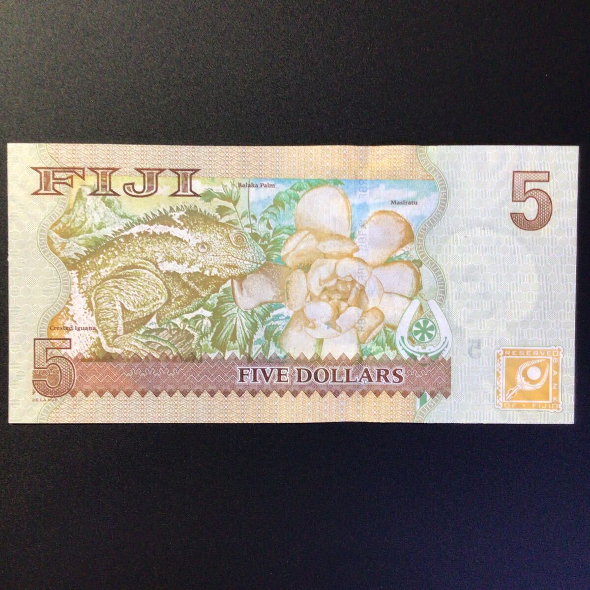 World Paper Money FIJI 5 Dollars[2007]