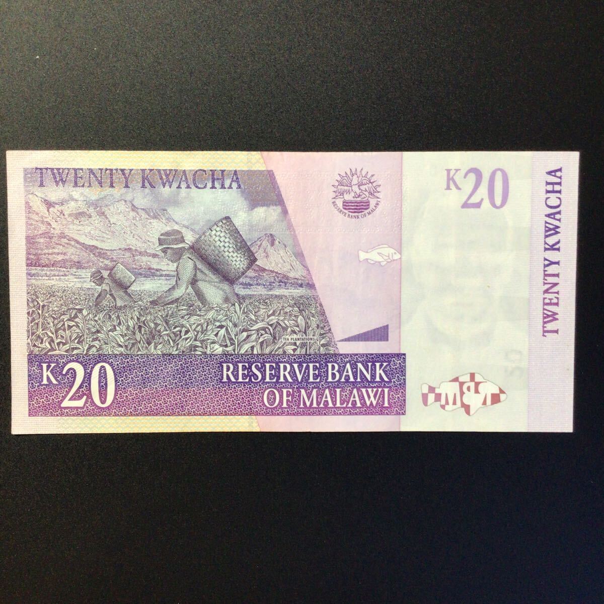 World Paper Money MALAWI 20 Kwacha[2009]
