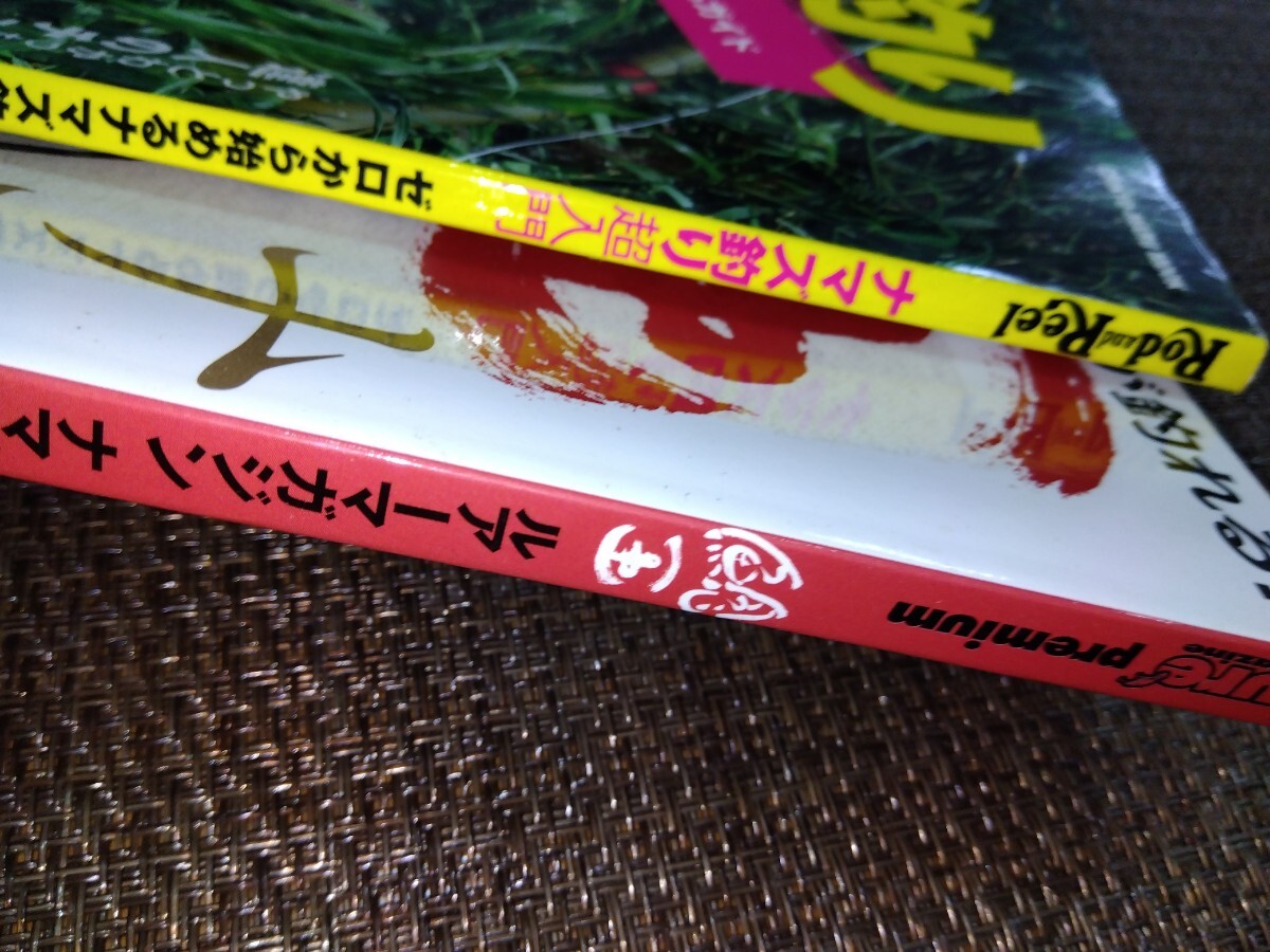 地球丸 ゼロから始めるナマズ釣り つり人社 ナマズ釣り超入門 鯰　ルアーマガジン　鯰王　ナマズ釣り本　２冊　セット　中古品　　_画像3