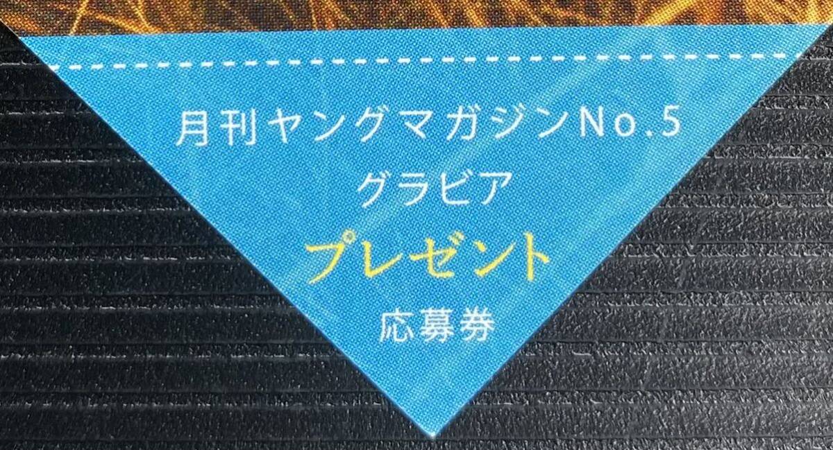 月刊ヤングマガジン2024年5月号 松田実桜 西尾希美 直筆サイン入りチェキプレゼント応募券の画像1