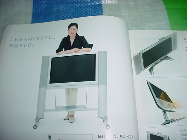 2002 year 5 month sharp electric product. general catalogue Yoshinaga Sayuri 