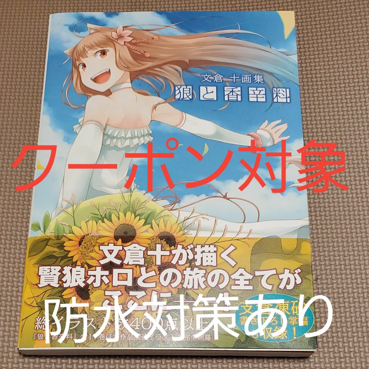 初版 狼と香辛料 文倉十画集 文倉十/著 イラスト集|Yahoo 初版 狼と香辛料 文倉十画集 文倉十/著 イラスト集|Yahoo