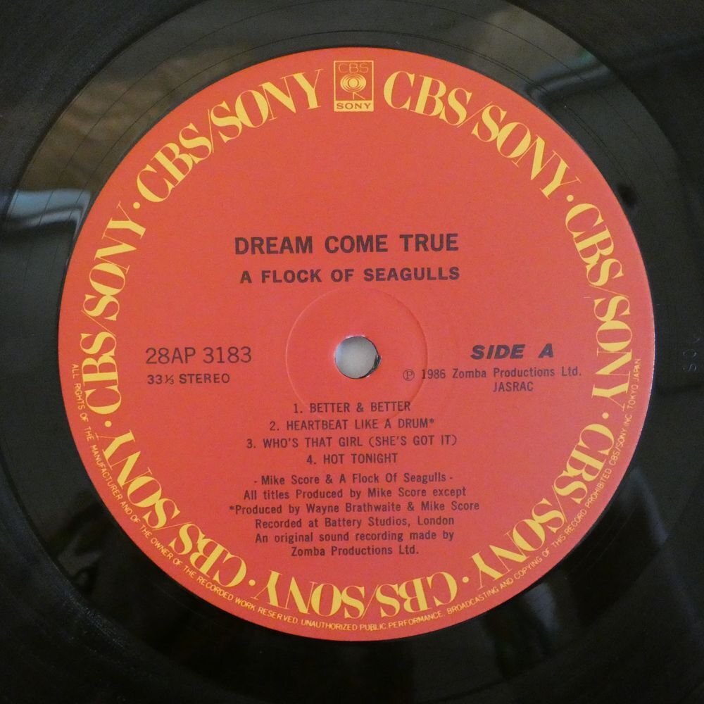 47055580;【国内盤/美盤】A Flock of Seagulls / Dream Come Trueの画像3