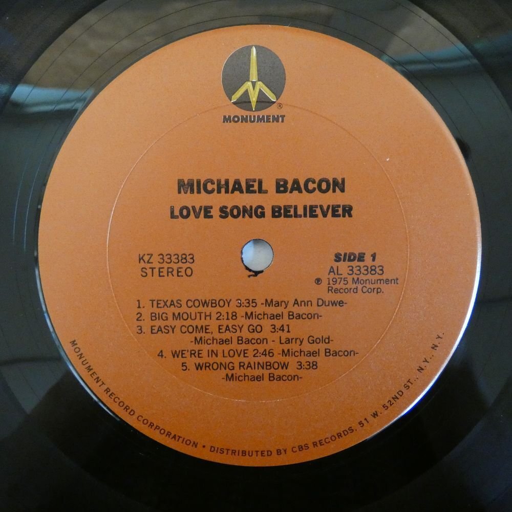 46071513;【US盤/シュリンク】Michael Bacon / Love Song Believer_画像3