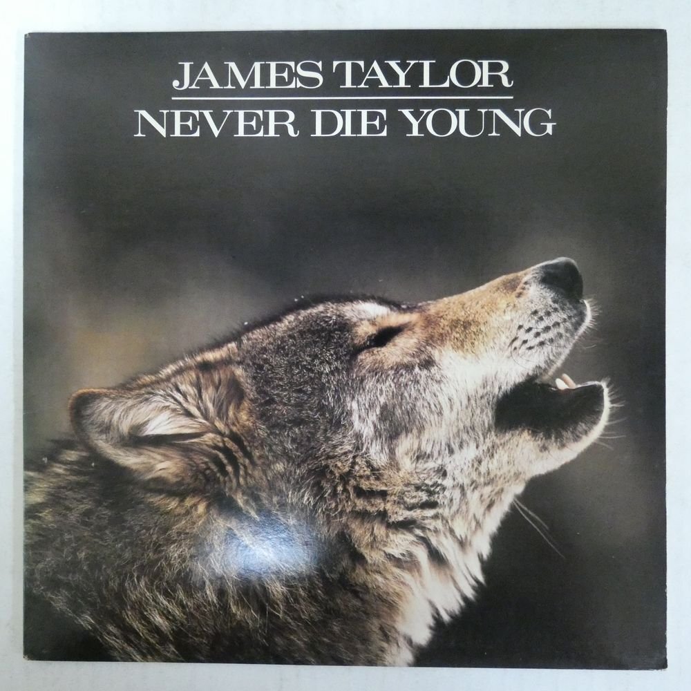 46074344;【US盤/希少88年アナログ/美盤】James Taylor / Never Die Youngの画像1