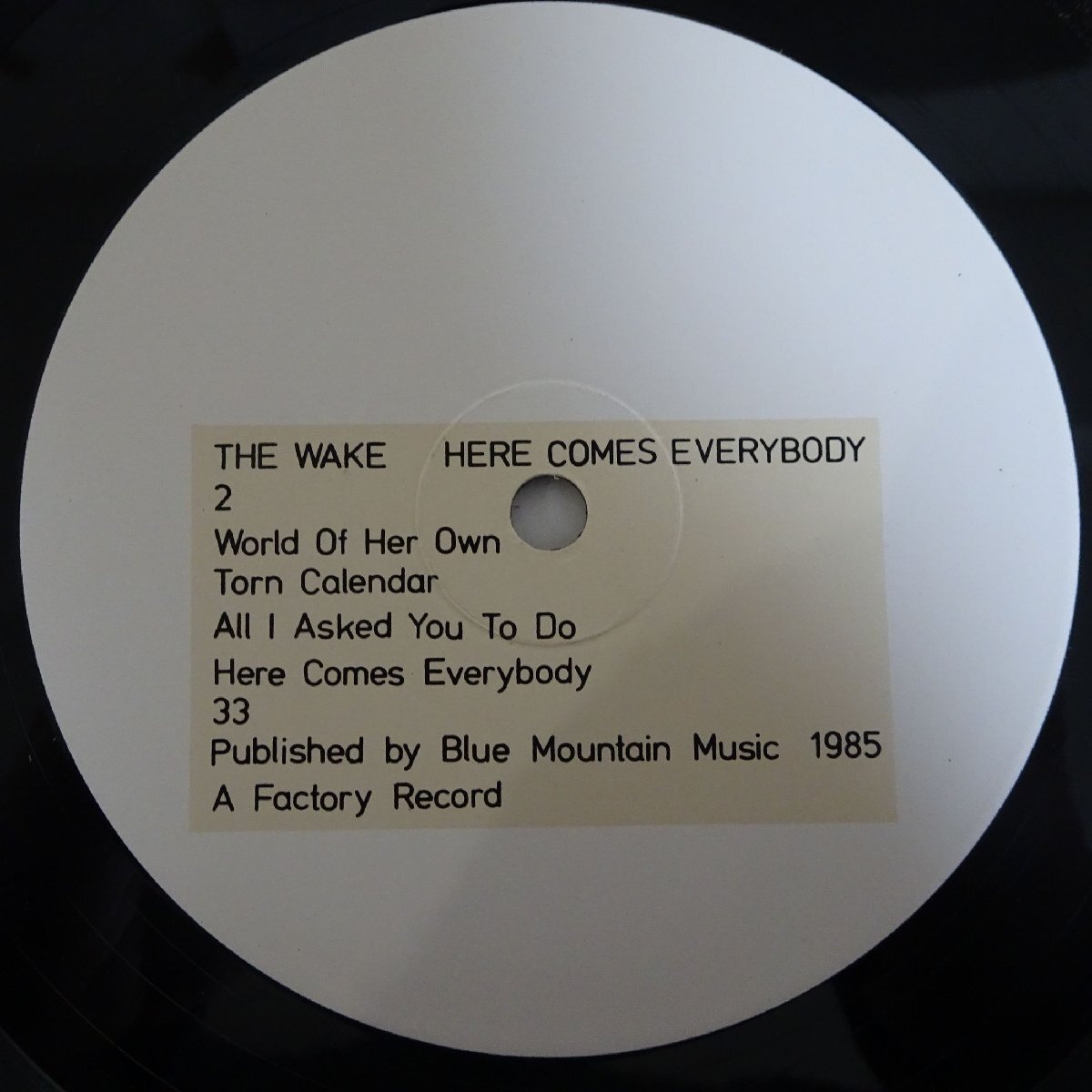 14030528;【UKオリジナル】The Wake ウェイク / Here Comes Everybody ヒア・カムズ・エヴリバディの画像5