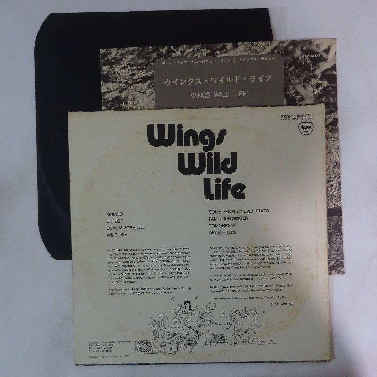 10025221;【国内盤】Wings / Wild Lifeの画像2