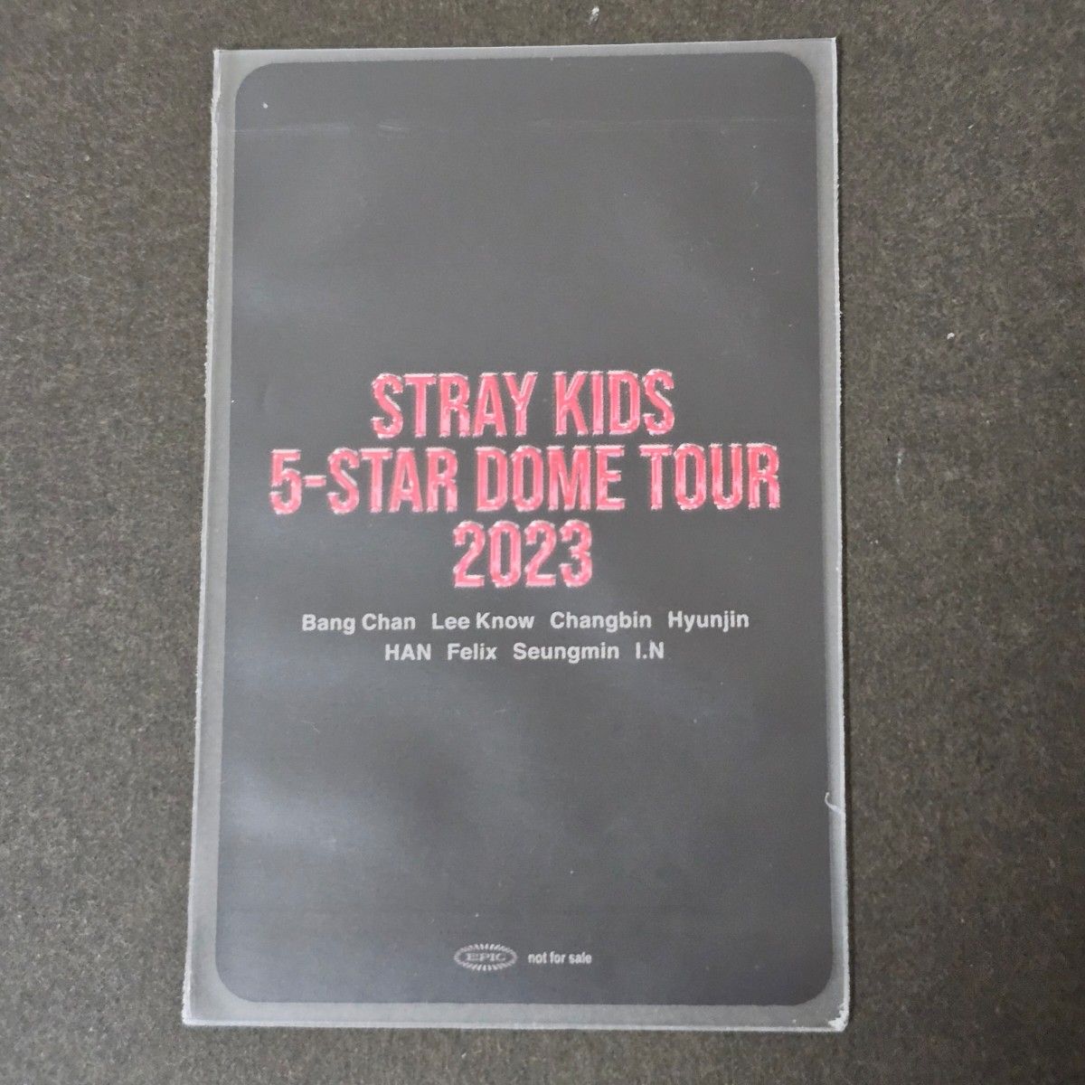 StrayKids リノ 名古屋 会場限定 特典