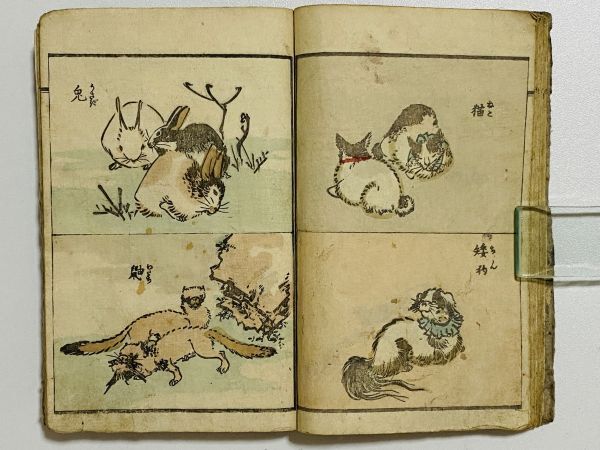 「柳川画譜」獣之部 1冊 柳川重信画｜和本 和書 古典籍 絵本 絵入本 浮世絵 読本 草双紙 絵画 芸術 動物犬猫牛馬獅子虎猿麒麟象狐羊狸兎狼_画像1