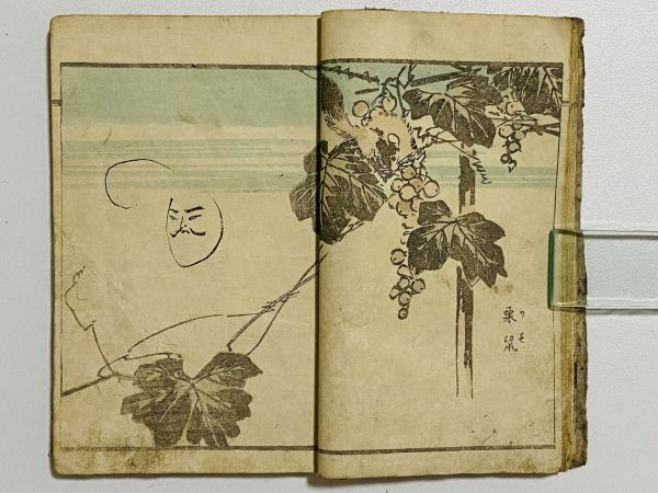 「柳川画譜」獣之部 1冊 柳川重信画｜和本 和書 古典籍 絵本 絵入本 浮世絵 読本 草双紙 絵画 芸術 動物犬猫牛馬獅子虎猿麒麟象狐羊狸兎狼_画像3