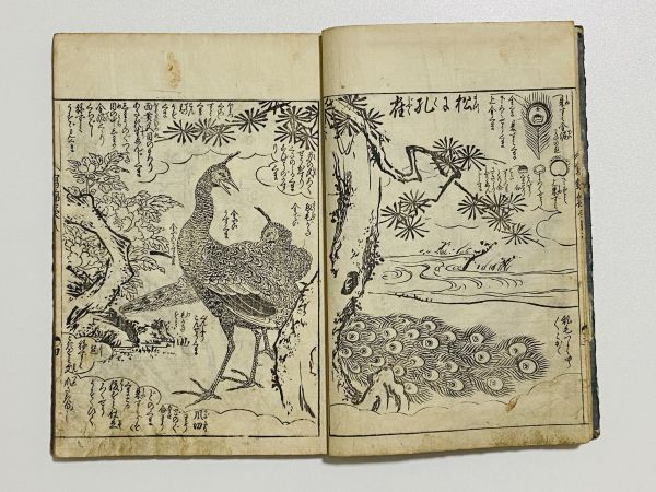 [.book@.. sack ] volume .1 pcs. .. country work .l peace book@ Japanese style book classic . picture book . go in book@ ukiyoe reader .. paper picture book .. sack .. sack phoenix .. crane . flowers and birds plum .. kind 