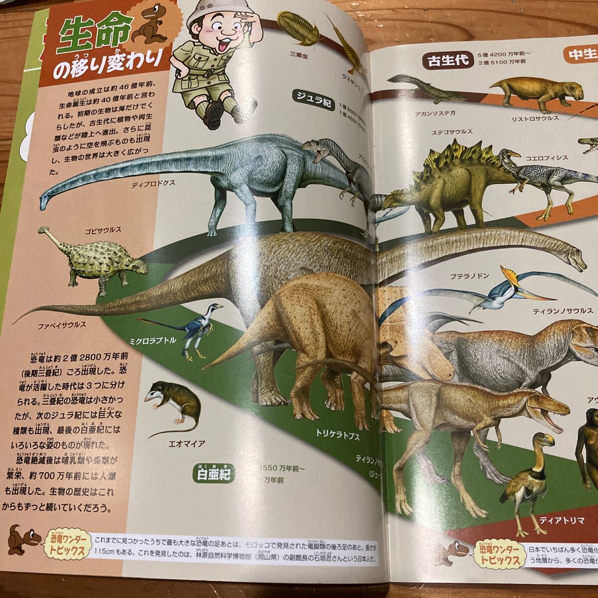 古本　即決送料無料♪恐竜サイエンス　恐竜 ワンダーブック　冊子　ヒミツを大解剖！実物大ティラノサウルス頭骨ポスターつき_画像4