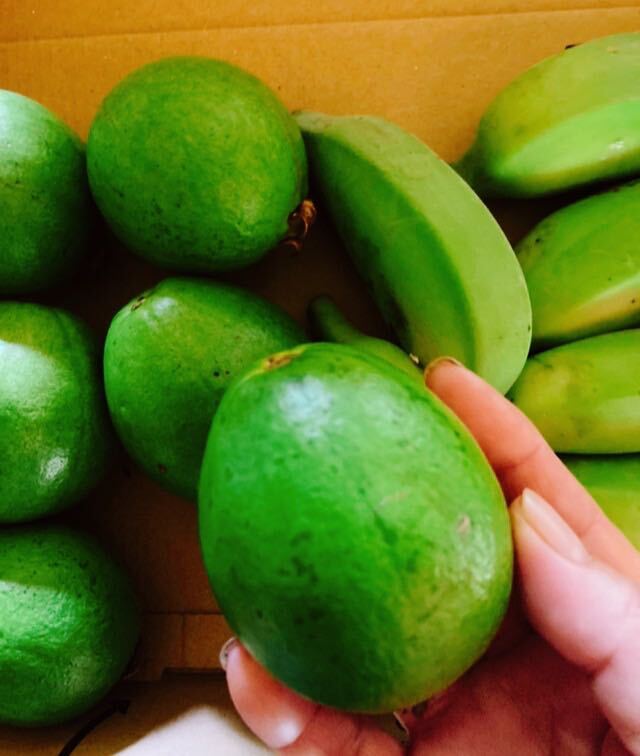 お試しにも！沖縄産アップルバナナ、グァバ 農薬不使用！コンパクトでお届け！！