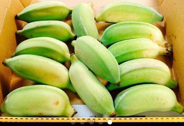入手困難！！キングオブバナナ！バナナの王様！沖縄産ナムワバナナ農薬不使用コンパクトでお届け！！_画像4