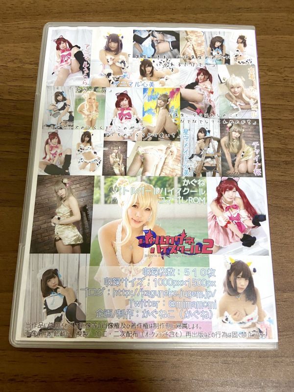  cosplay ROM photoalbum [ Battle kagne high school 2]... Battle girl high school .. punch la